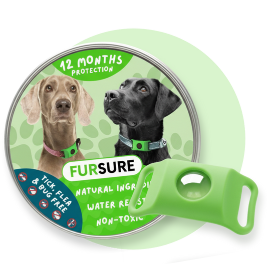 FurSure Reviews: What Dog Owners Are Saying About Natural Flea and Tick Protection in Australia