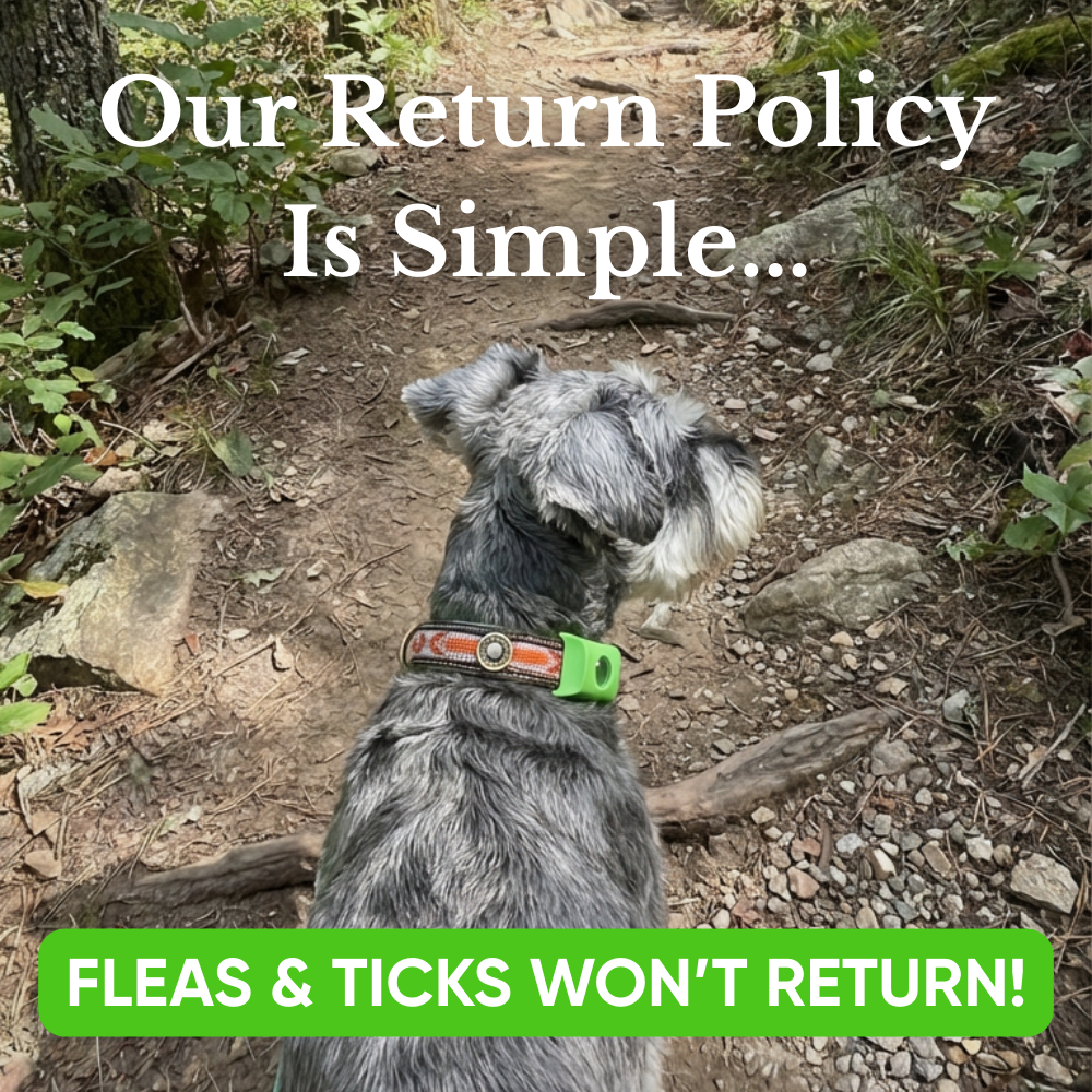 FurSure Natural Flea & Tick Pendant