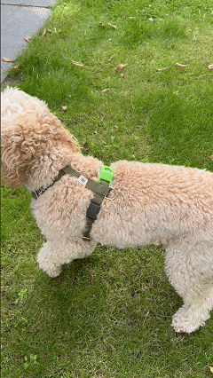 Customer testimonial video