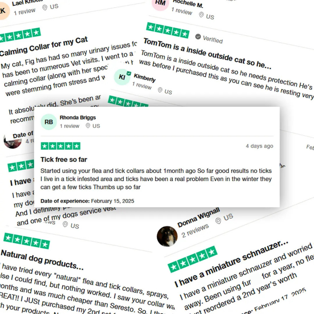 FurSure™ - 12 Months All Natural Flea and Tick Tags for Dogs