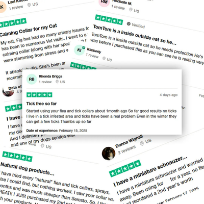 FurSure™ Pendant - 12 Months of Natural Protection for Dogs