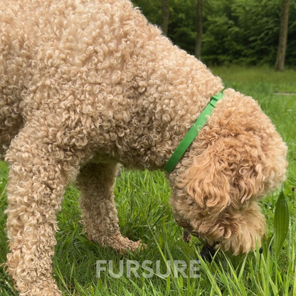 FurSure - Natural Flea & Tick Collar V2