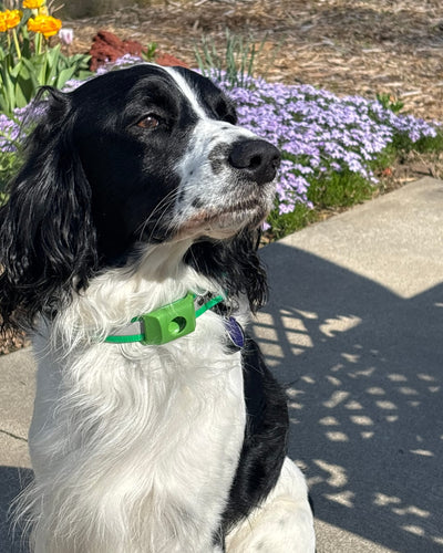 Customer testimonial video