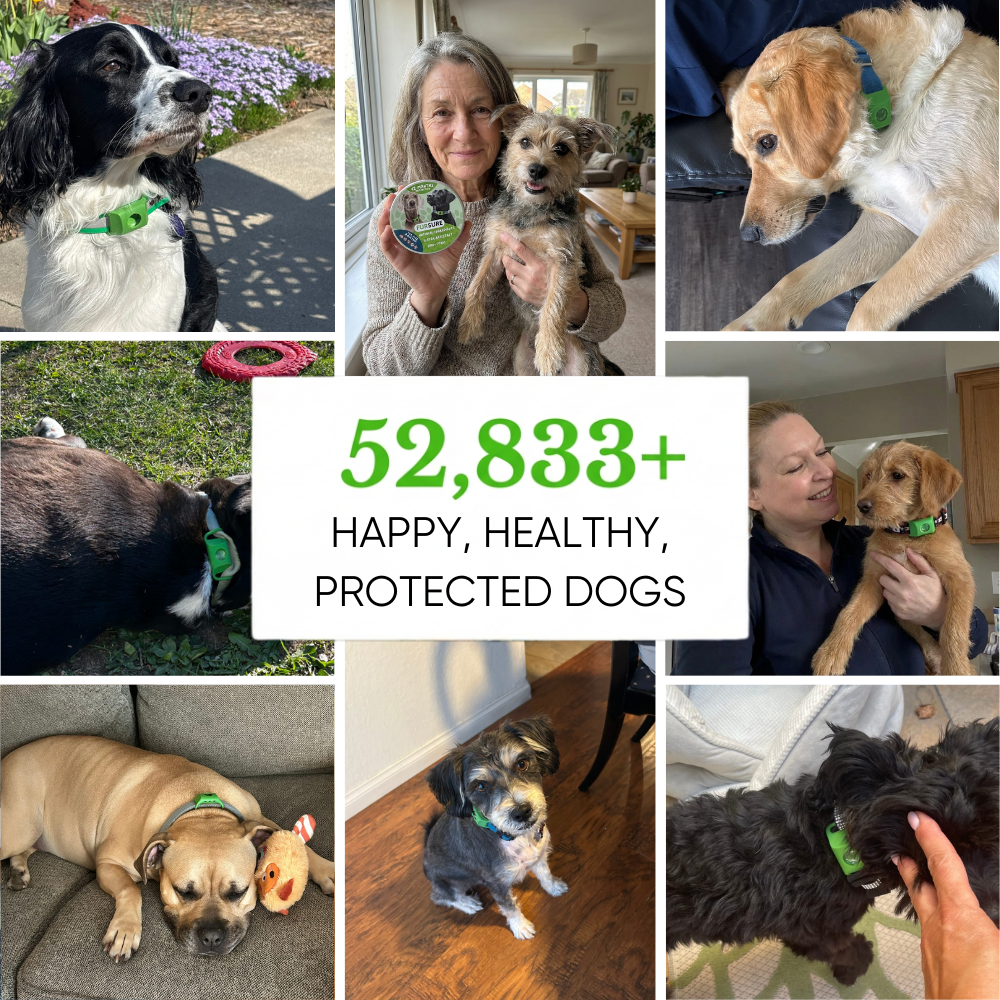 FurSure Natural Flea & Tick Pendant