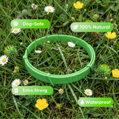 FurSure - Natural Flea & Tick Collar V2