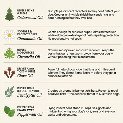 FurSure™ Pendant - 12 Months of Natural Protection for Dogs