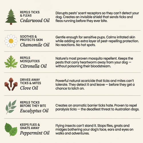 FurSure™ Pendant - 12 Months of Natural Protection for Dogs