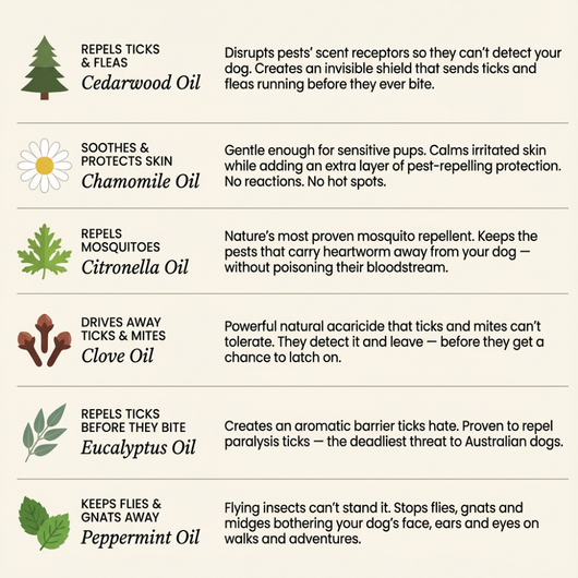 FurSure™ Pendant - 12 Months of Natural Protection for Dogs