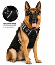 Fursure - Safety harness