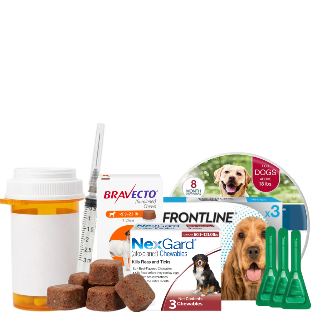 <h2>Dog Owners who Switch to FurSure Never Go Back</h2>