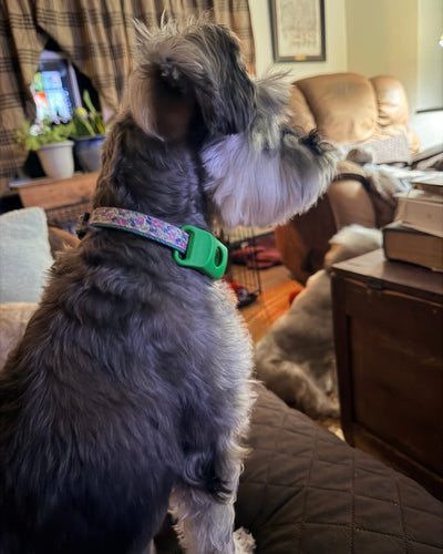 Customer testimonial video