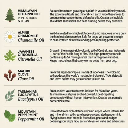 FurSure Natural Flea & Tick Pendant