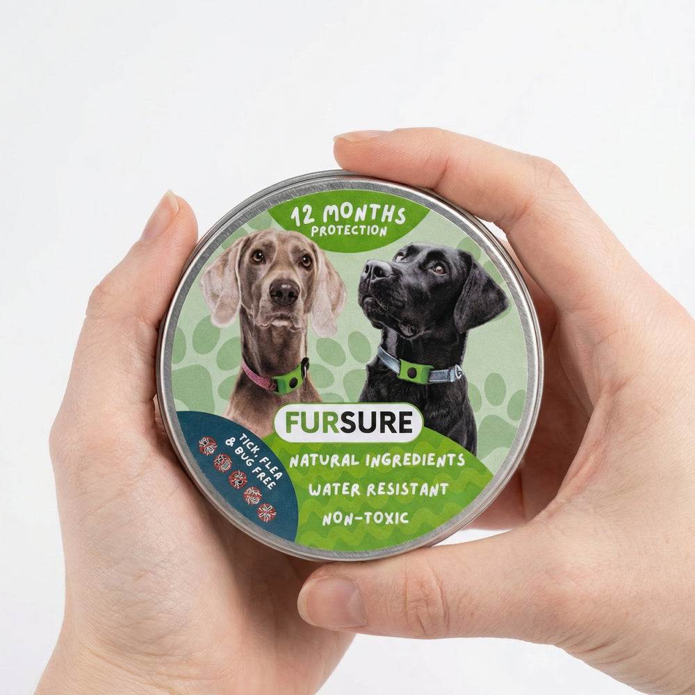 <h2>Dog Owners who Switch to FurSure Never Go Back</h2>