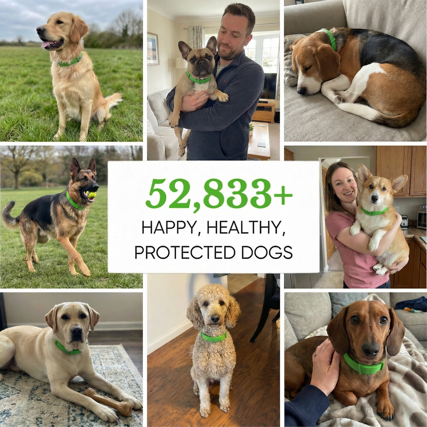 FurSure - Natural Flea & Tick Collar V2