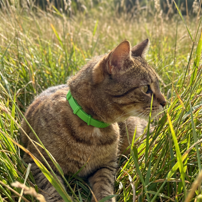 FurSure - Flea & Tick Collar For Cats
