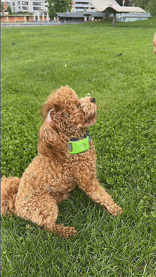 Enjoy Natural Protection