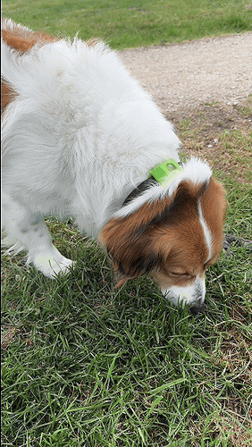 Customer testimonial video